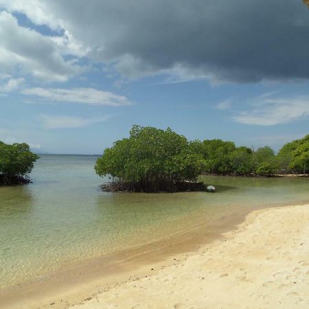 Mangrove Paradise Retreat Nusa Lembongan Kültér fotó